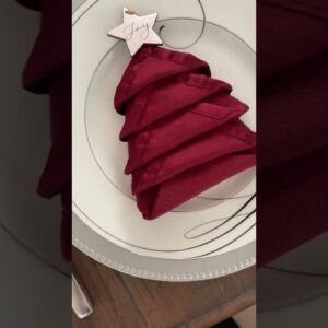 :10 second GENIUS napkin folds this holiday! ðŸ¤¯â�¤ï¸�
