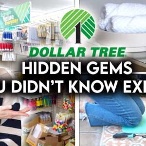 10 DOLLAR TREE HIDDEN GEMS YOU DIDNâ€™T KNOW EXISTED | HOME + ORGANIZATION