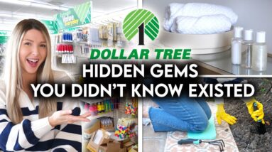 10 DOLLAR TREE HIDDEN GEMS YOU DIDN’T KNOW EXISTED | HOME + ORGANIZATION
